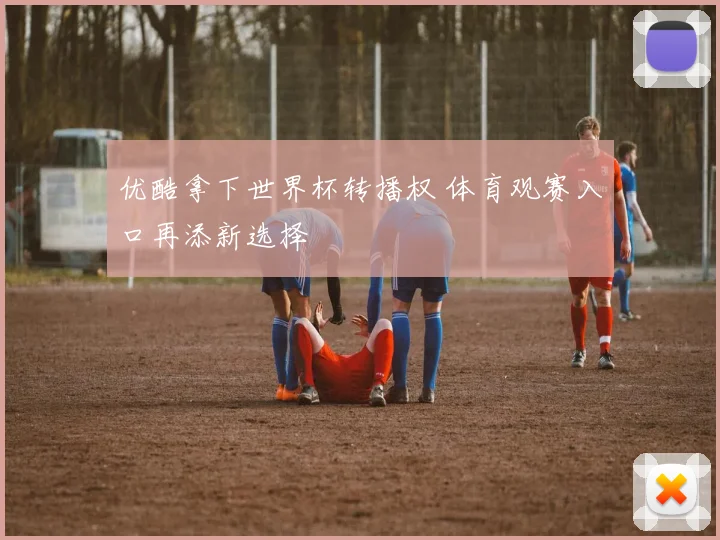优酷拿下世界杯转播权 体育观赛入口再添新选择