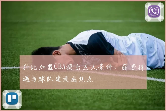 科比加盟CBA提出五大条件,薪资待遇与球队建设成焦点