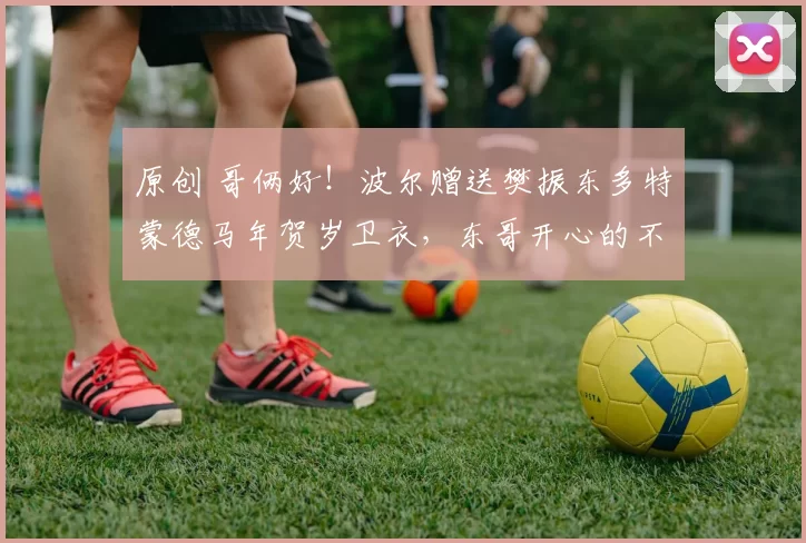 原创 哥俩好!波尔赠送樊振东多特蒙德马年贺岁卫衣,东哥开心的不行